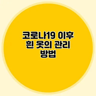 코로나19 이후 흰 옷의 관리 방법