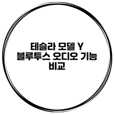 테슬라 모델 Y 블루투스 오디오 기능 비교