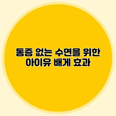 통증 없는 수면을 위한 아이유 배게 효과