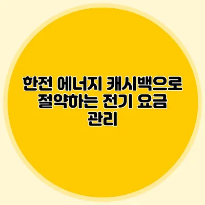 한전 에너지 캐시백으로 절약하는 전기 요금 관리