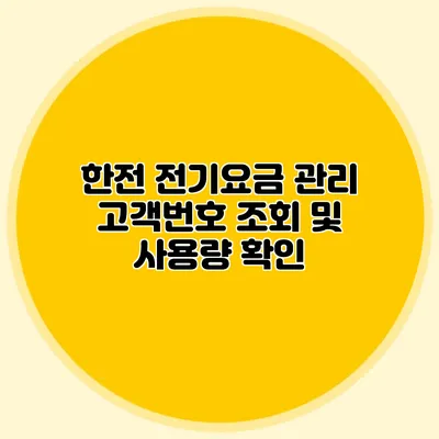 한전 전기요금 관리: 고객번호 조회 및 사용량 확인