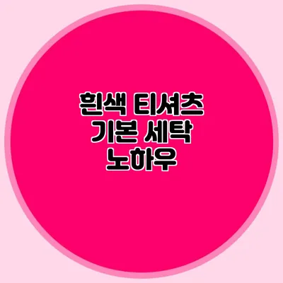 흰색 티셔츠 기본 세탁 노하우